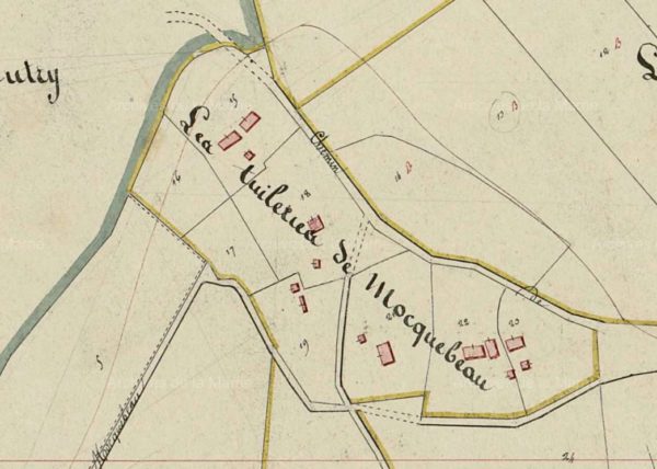Extrait du plan cadastral de Tauxières-Mutry (source : AD51)