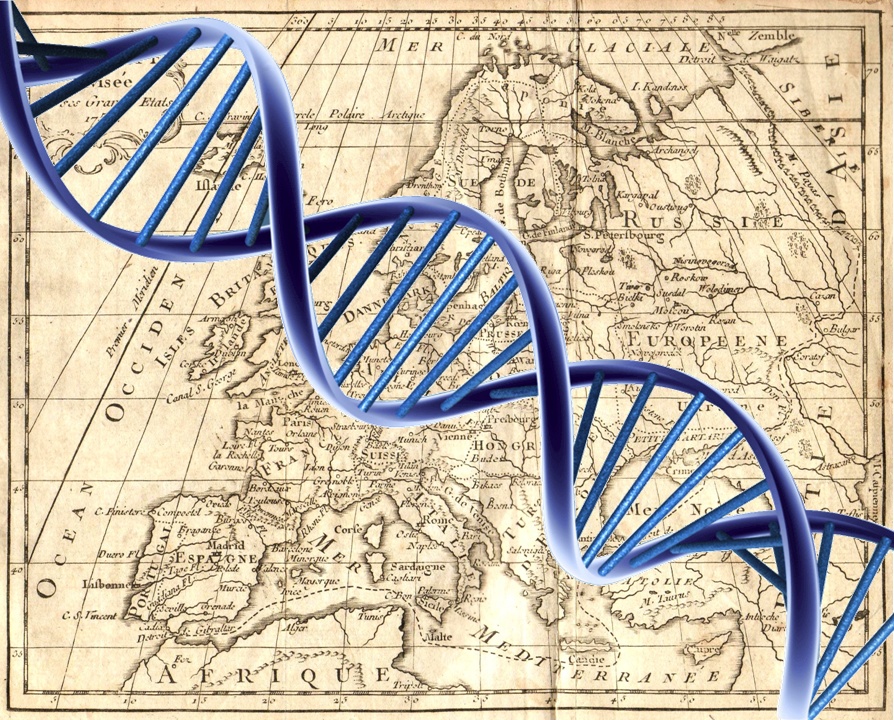 Test génétique des Origines, Haplogroupes et ADN Neandertal