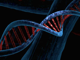 La généalogie génétique est-elle vraiment de la généalogie ?